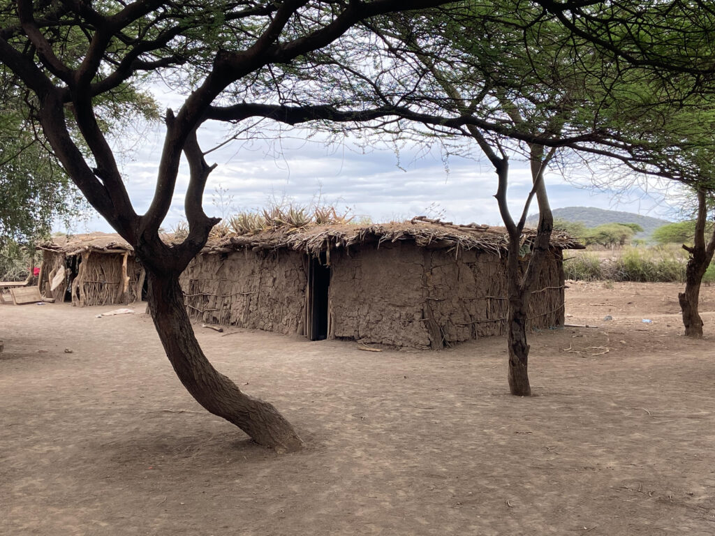Tanzania Safari, Best Safari in Africa